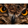 Acer Predator XB273KV4BMIIPRX - 1527844 - zdjęcie 14